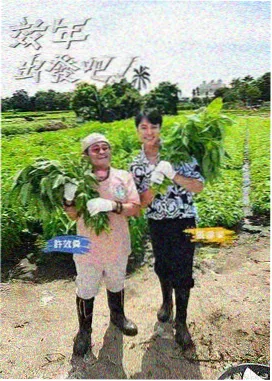 最后生还者最新电视剧海报